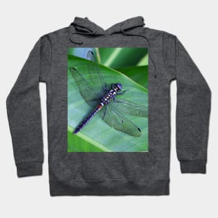 Dragonfly Hoodie